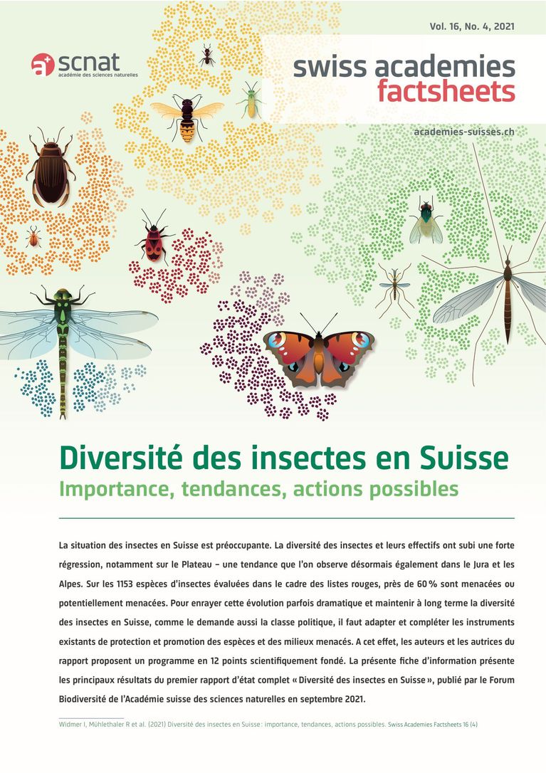 Diversité des insectes en Suisse : importance, tendances, actions possibles