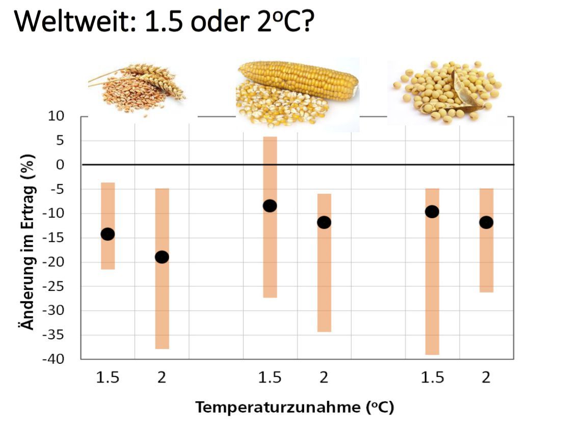Ertrag bei Klimaerwärmung um 1.5°C oder 2°C (Graphik aus Präsentation von Prof. Dr. Jürg Fuhrer; Schleussner CF et al. 2016)