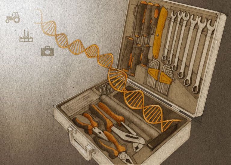 CRISPR - genetic engineering tool