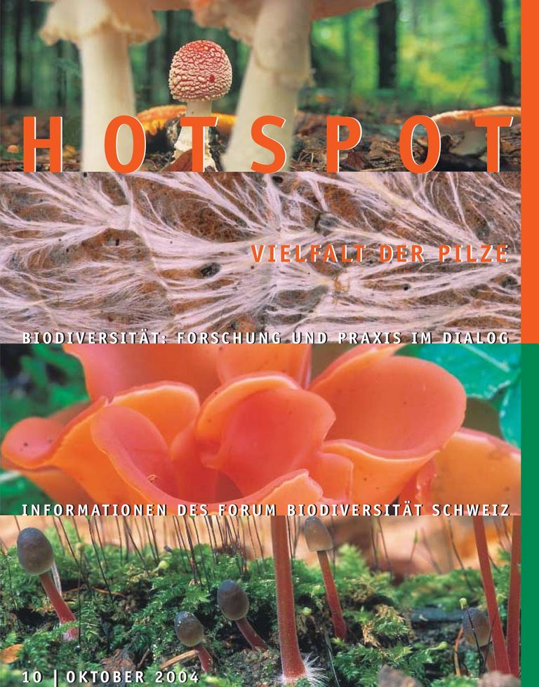 HOTSPOT 10: Vielfalt der Pilze