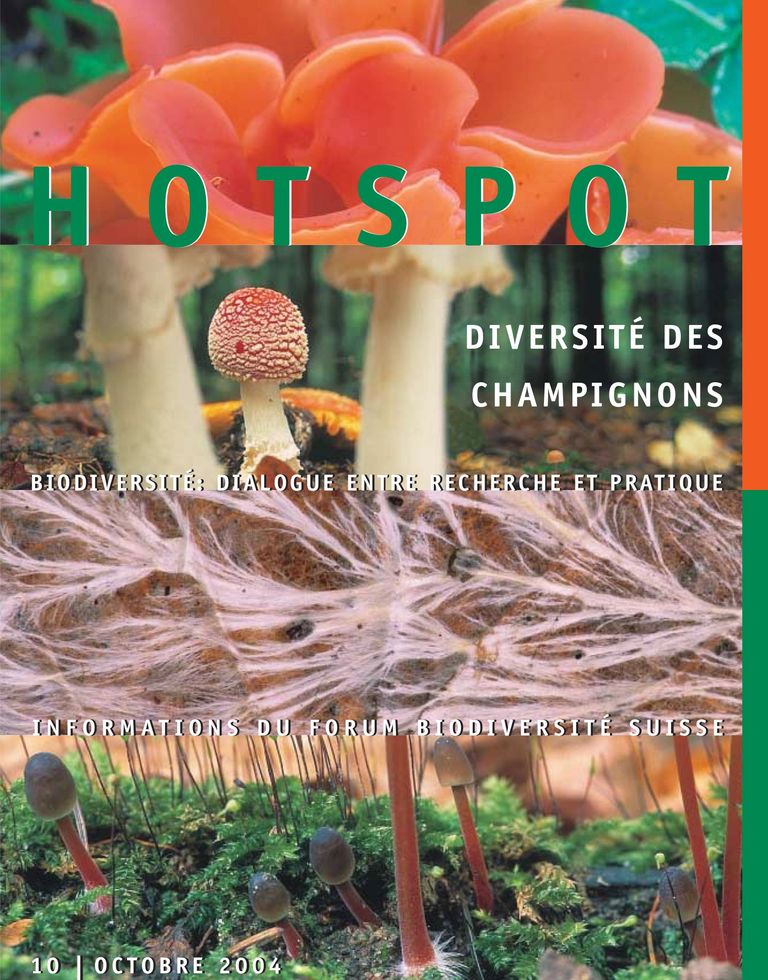 HOTSPOT 10: Diversité des champignons