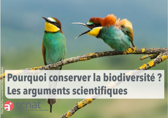 Argumentation Biodiversité