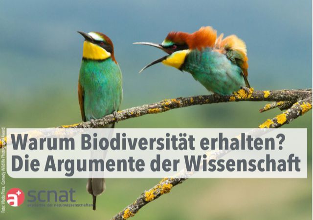 Argumentarium Biodiversität