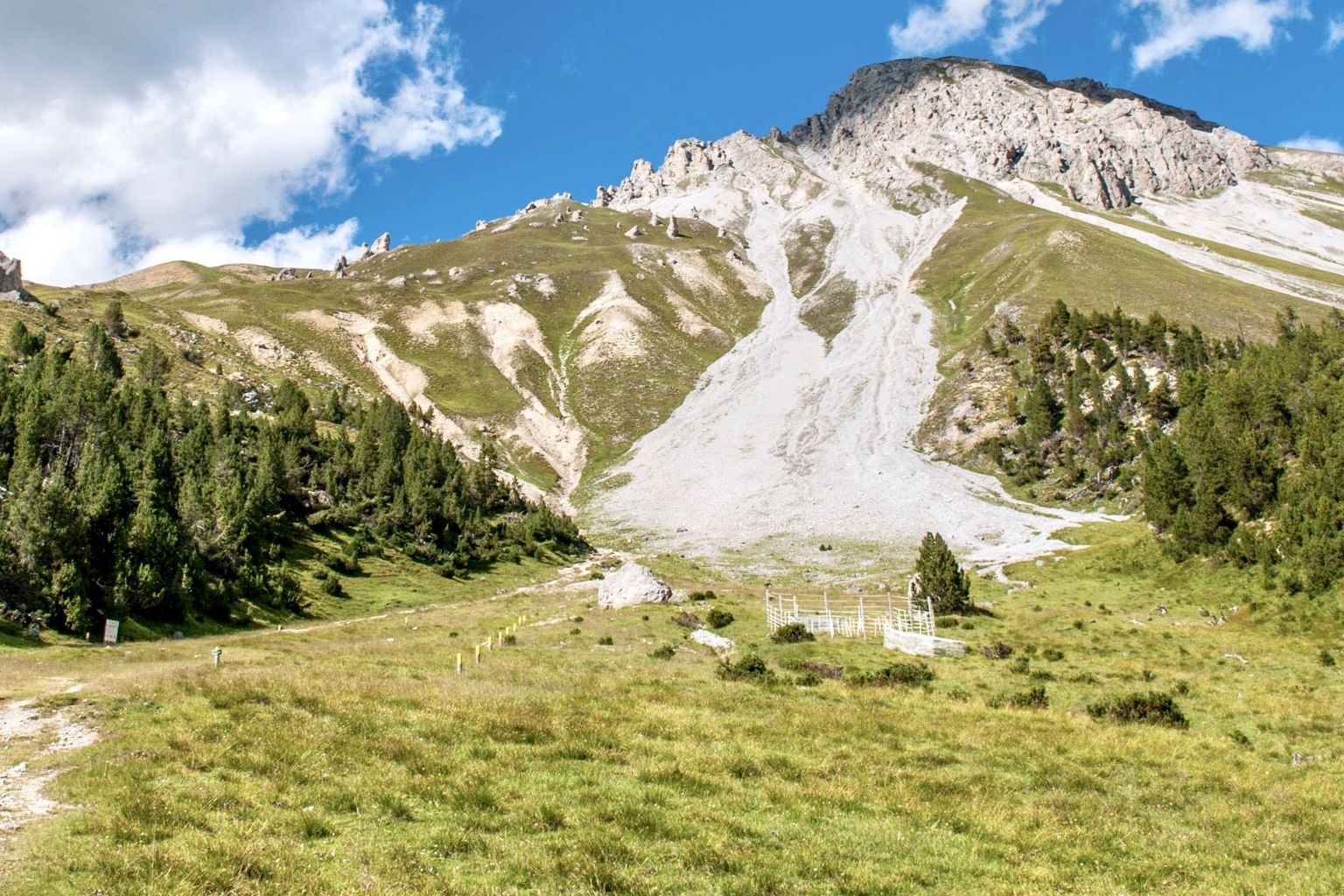Bergweide im Schweizerischen Nationalpark mit einem der experimentellen Zäune.