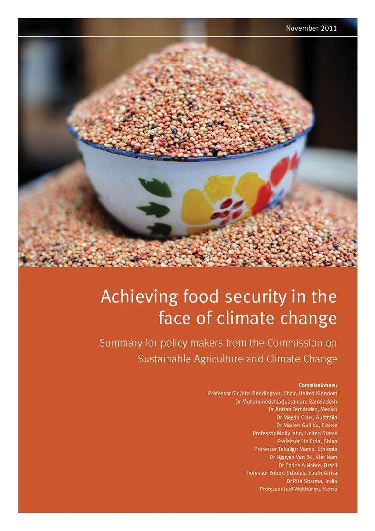 Executive Summary of the Report: Achieving food security in the face of climate change
