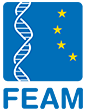 Logo FEAM