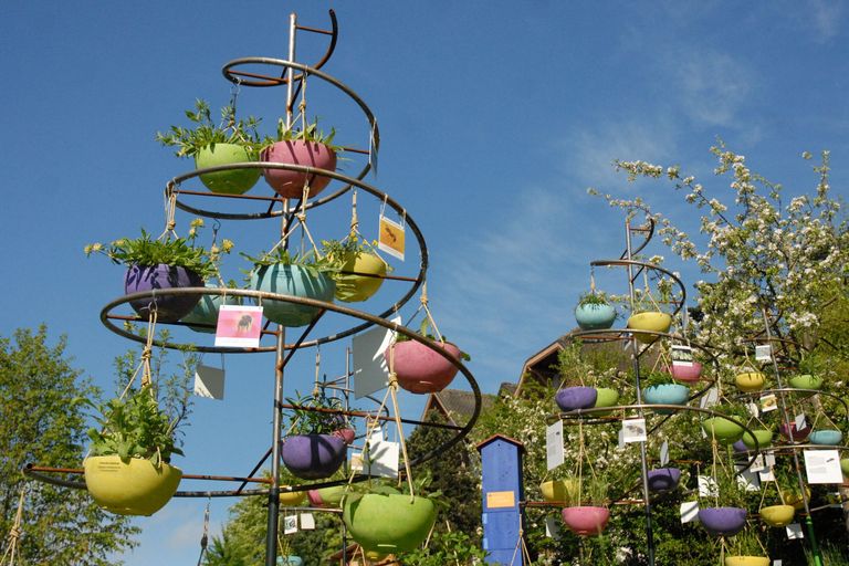 « Fleurs d’abeilles », exemple d’une muséographie en plein air du Jardin botanique de Neuchâtel sur les liens très spécialisés entre les abeilles sauvages et la flore helvétique