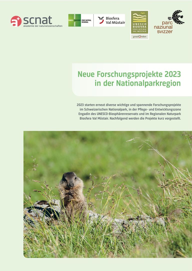 Flyer Neue Forschungsprojekte im SNP FoK 2023
