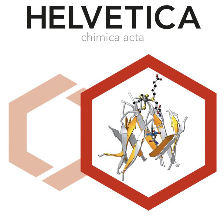 Logo_VHCA
