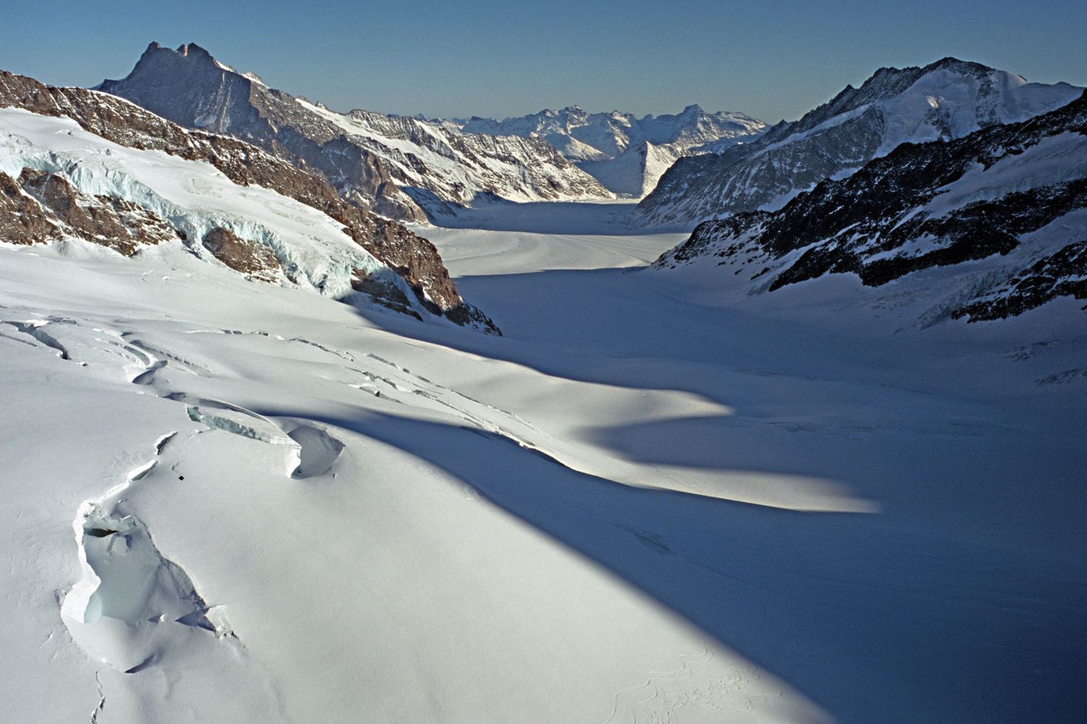 ghiacciaio uccello neve montagna alpi