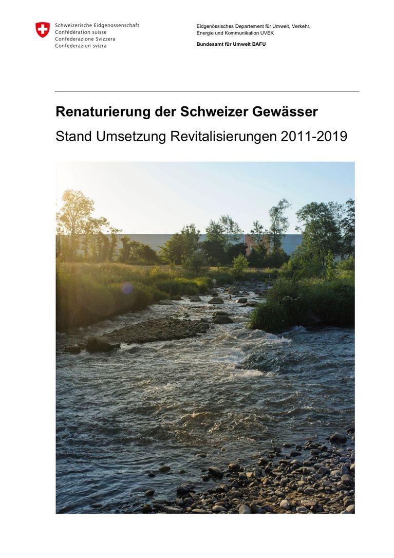 BAFU (2021) Renaturierung der Schweizer Gewässer – Stand Umsetzung Revitalisierungen 2011–2019