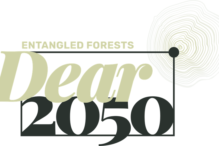 Dear 2050 entangled forests