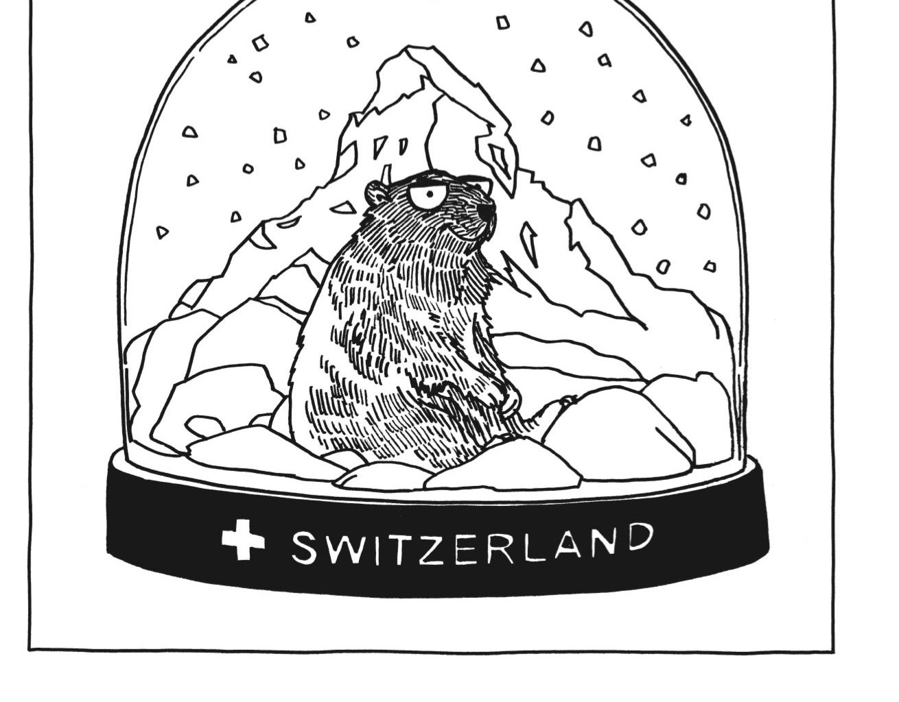 Bestiaire Helvétique_Marmotte des Alpes