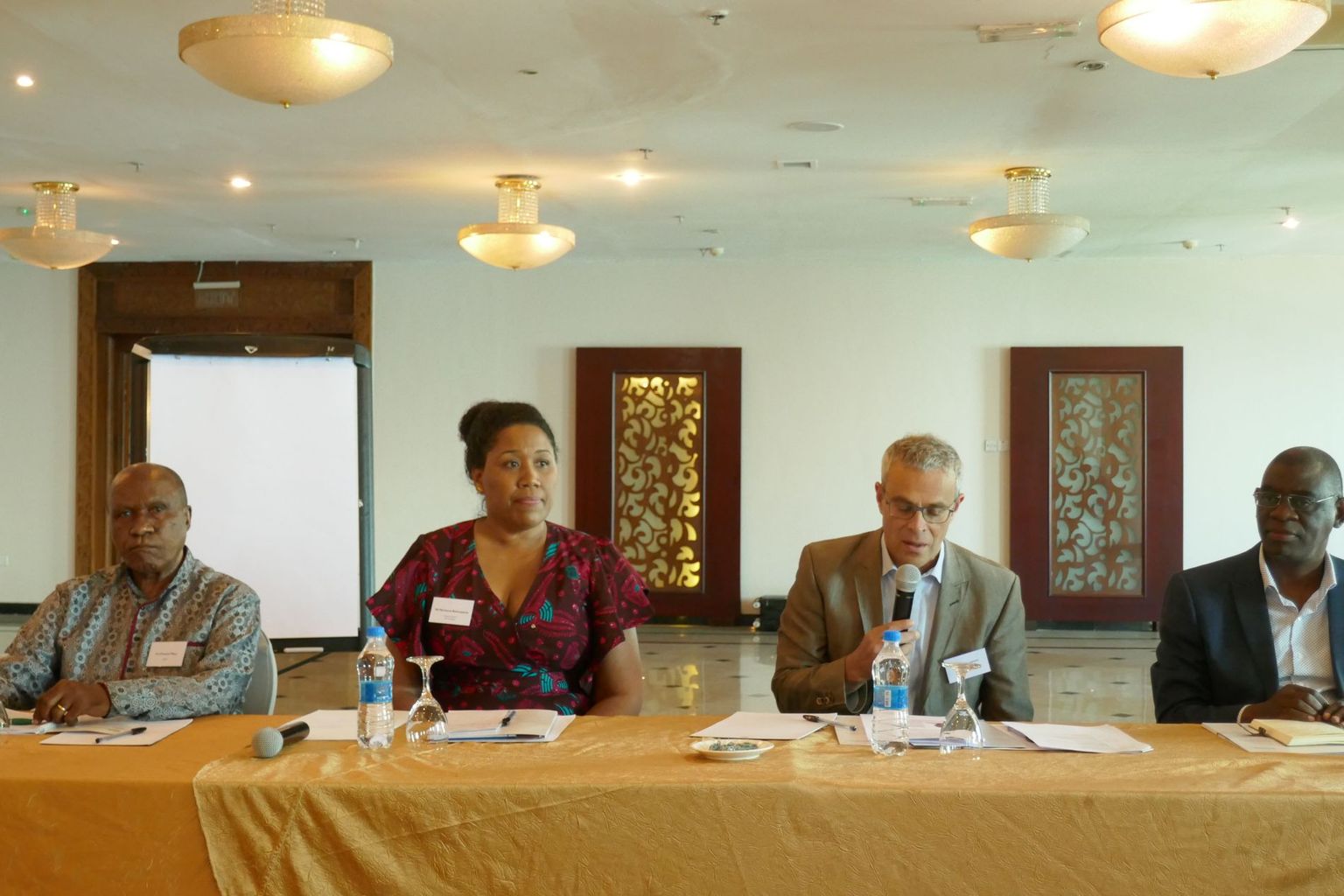Panel discussion, Tansania 2018 with Prof. P.B. Mihyo, Marianna Balampana, Prof. Laurent Goetschel & Dr. Honorati Masanja
