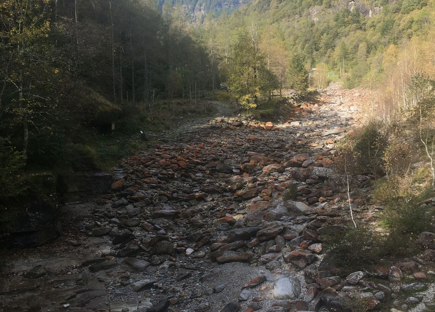 Due to the subsidised use of hydroelectric power, water is now being diverted from many mountain streams for power stations. This impairs the passability of water courses and disturbs the flow dynamics. As a result, biodiversity is reduced.