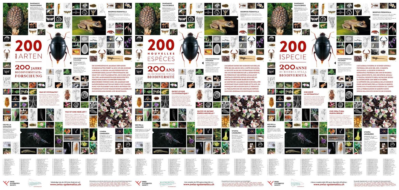 Poster species 200